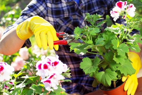 Garden makeover planning for a Barnet home with refreshed planting and paving