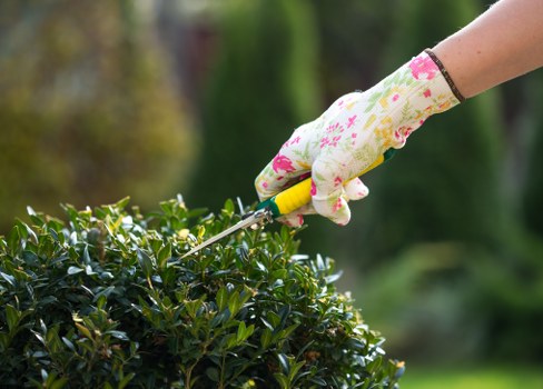 Improving a residential garden layout with low-maintenance materials in Barnet