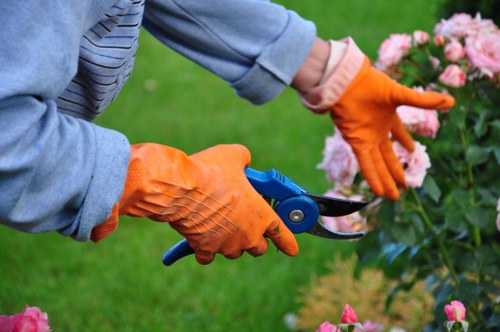 Professional landscaping safety measures in a Barnet garden