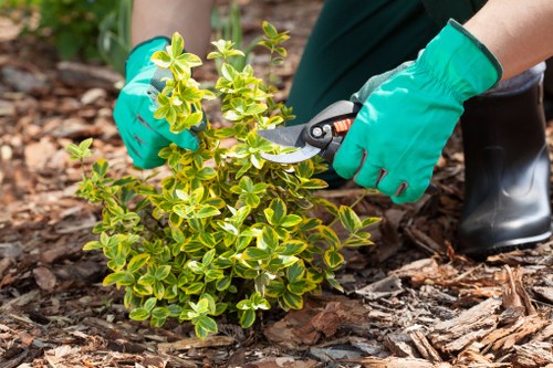 Supplier compliance audit documents for landscaping procurement