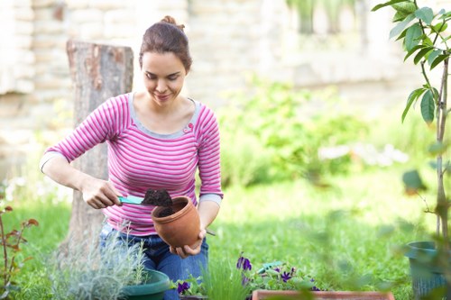 Patio, planting and lawn landscaping features in Barnet