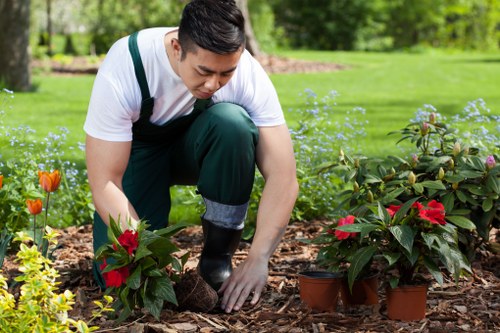 Residential and commercial garden landscaping ideas for Barnet properties