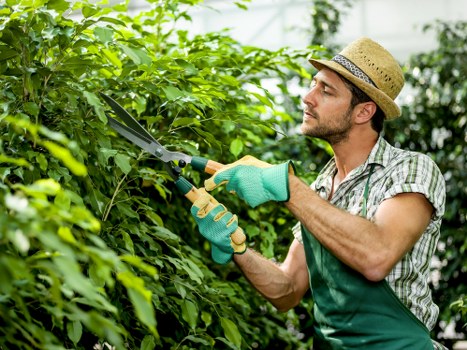 Worker safely operating landscaping machinery during routine maintenance