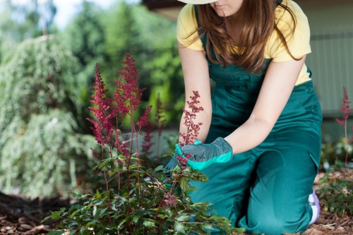 Written complaint review notes beside a garden plan