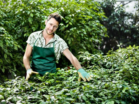 Safe and reliable Landscaping Barnet payments area