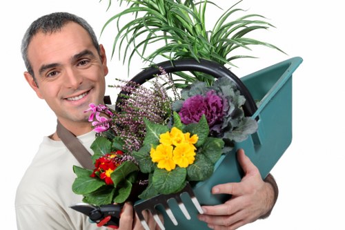 Fresh garden planting and lawn design in Barnet