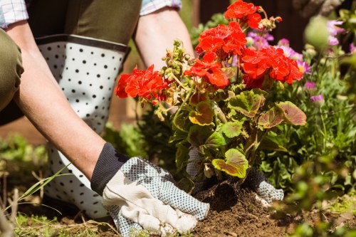 Annual review of anti-slavery policy in landscaping operations