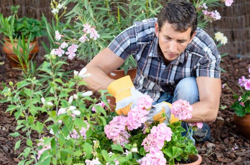 Soft landscaping project details for a Barnet home or business